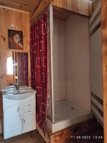 un piccolo bagno con doccia e lavandino di Mini-hotel Kamianets a Kam"janec'-Podil's'kyj