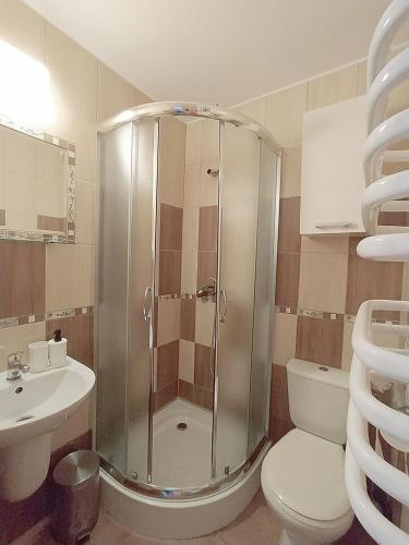 a bathroom with a shower and a toilet and a sink at Góralski Dworek in Biały Dunajec