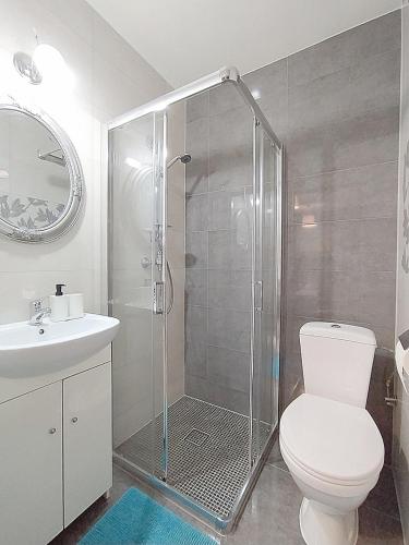 a bathroom with a shower and a toilet and a sink at Góralski Dworek in Biały Dunajec