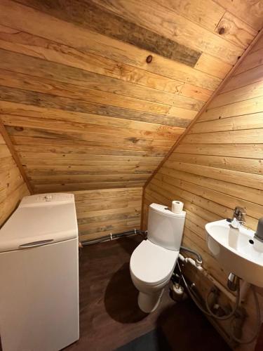 a bathroom with a toilet and a sink at Salmiņu Pirtsmāja ar relaksējošu baļļu in Pastva Barbern