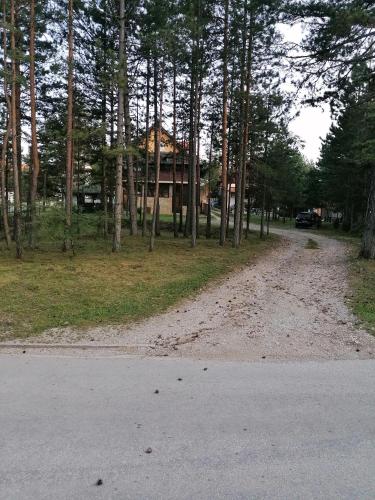 a dirt road leading to a house in the woods at Tara Bozic Apartmani in Kaludjerske Bare