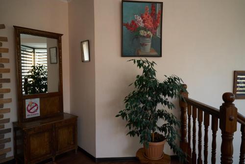 a staircase with a plant and a picture on the wall at Argo Guest House in Karakol