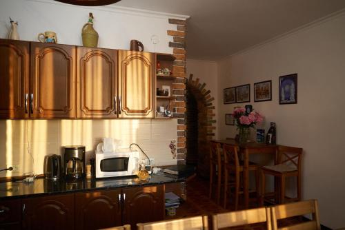 a kitchen with a counter top with a microwave at Argo Guest House in Karakol