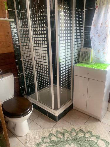 W łazience znajduje się prysznic, toaleta i telefon. w obiekcie Domki u Uli w mieście Jarosławiec