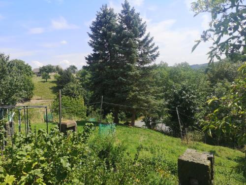 a field with a fence and trees on a hill at Gutshof und Ferienwohnung Proft in Biensdorf