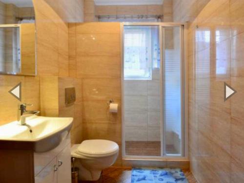 La salle de bains est pourvue d'une douche, de toilettes et d'un lavabo. dans l'établissement Willa Dominik 2, à Jastarnia