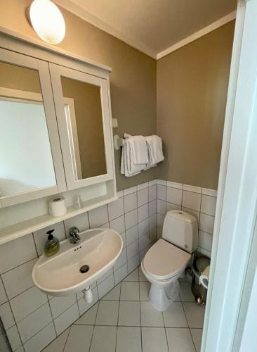 a bathroom with a sink and a toilet at Langesund Bad in Langesund