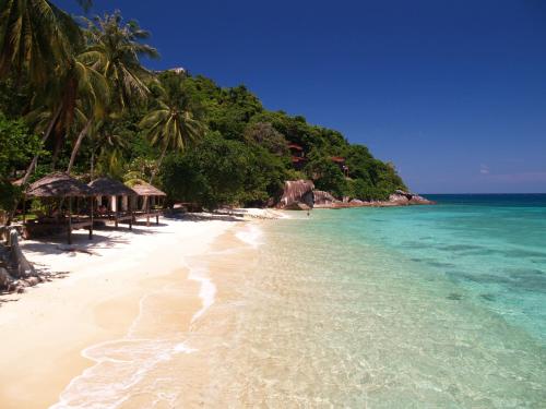 a beach with a group of trees and the ocean at Japamala Resort by Samadhi Age 12 and Above Only in Tioman Island