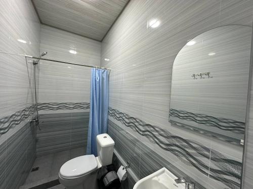 a bathroom with a toilet and a shower and a sink at Stay hostel in Tashkent