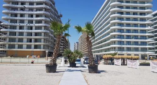 two palm trees inront of two tall buildings at Vista del Mar in Mamaia