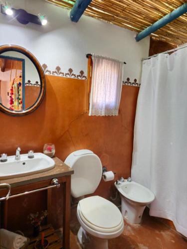 a bathroom with a toilet and a sink and a mirror at Finca Tuluz in Huacalera
