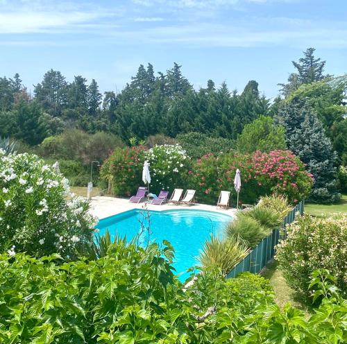 una piscina con 2 sillas de césped y flores en Mas Les Fleurs d’Hilaire, en Monteux