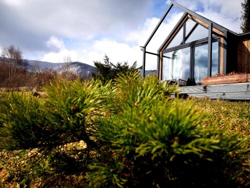 a small house with glass windows in a field at Pod Gwiazdami in Cisna