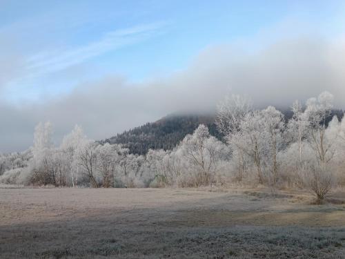a field with snow covered trees and a mountain at Pod Gwiazdami in Cisna
