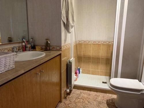 La salle de bains est pourvue d'un lavabo, de toilettes et d'une douche. dans l'établissement Olive’s Montseny, à Breda