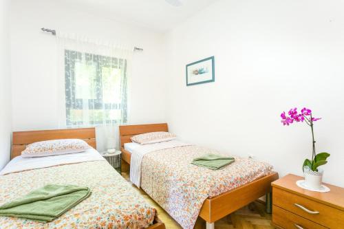 Apartments by the sea Mastrinka, Ciovo - 21442