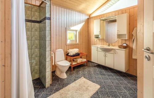 Yderbyにある3 Bedroom Cozy Home In Sjllands Oddeのバスルーム(トイレ、洗面台付)