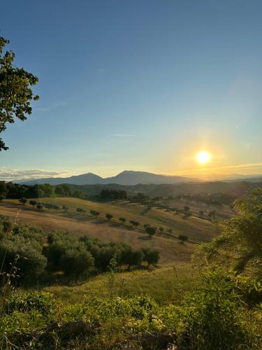 a sunset over a field with the sun setting in the distance at La Betulla - Ocean-Mountain View LUX in Montone