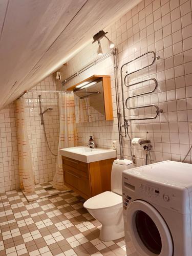 bagno con servizi igienici e lavatrice. di Skogslund, Skåne a Veberöd