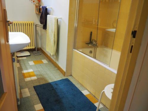 ein Bad mit einer Dusche, einem WC und einem Waschbecken in der Unterkunft La grange in Alluyes