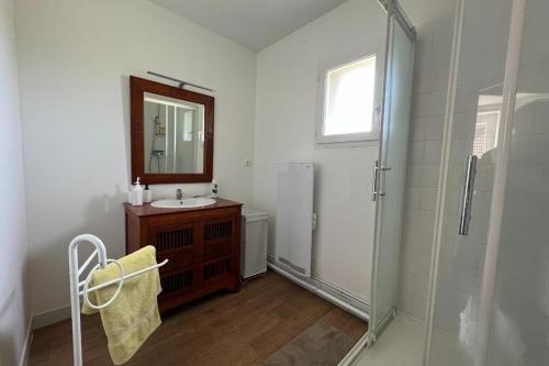 uma casa de banho com um lavatório, um espelho e um chuveiro em Les Gites de Louisette 1886 em Ébreuil