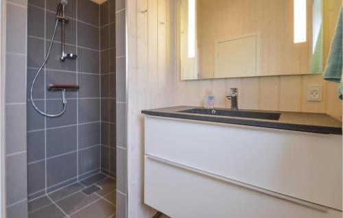 La salle de bains est pourvue d'une douche et d'un lavabo. dans l'établissement Gorgeous Home In Ebeltoft With Wifi, à Ebeltoft