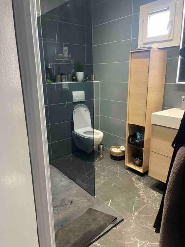 une salle de bain avec toilettes et lavabo dans l'établissement Très belle villa , calme et cosy ,6 personnes 10 mns des plages, à Martigues