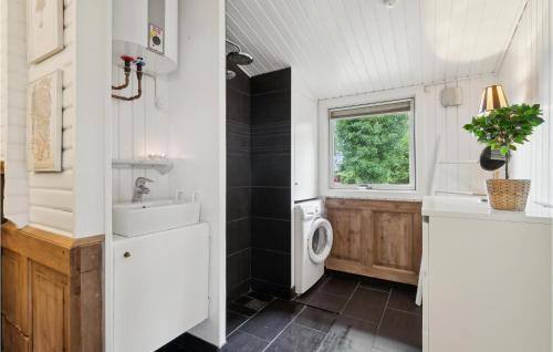 a bathroom with a sink and a washing machine at Cozy Home In Jgerspris With Jacuzzi in Jægerspris