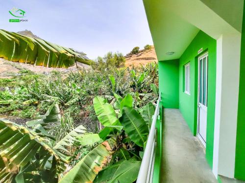 a green and white building with green plants on the side at Pousada Green Place in Ribeira Grande