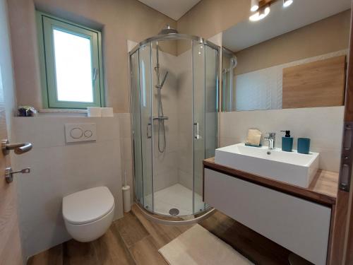a bathroom with a shower and a toilet and a sink at Villa Olivia in Sečovlje