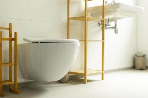 a bathroom with a white toilet and a sink at VlieMare Appartementen De Kluut in Oost-Vlieland