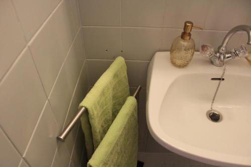 a bathroom with a sink and green towels at TraumLandl in Landl