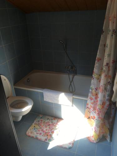 a bathroom with a tub and a toilet and a shower curtain at Pension Zur Freiheit in Passau