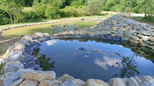 a group of people swimming in a pond with a stone bridge at Osada Solina in Solina