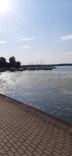 a view of a body of water with a dock at Przystań in Ostróda