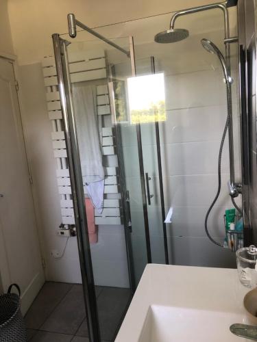 a shower with a glass door in a bathroom at Appartement & jardin vue Rhune in Ascain