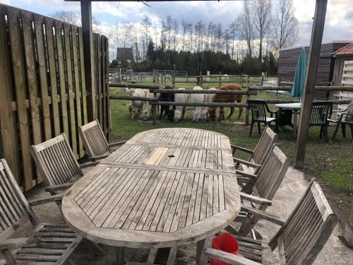 a wooden table and chairs with horses in a field at slapen bij alpacas in Beerse