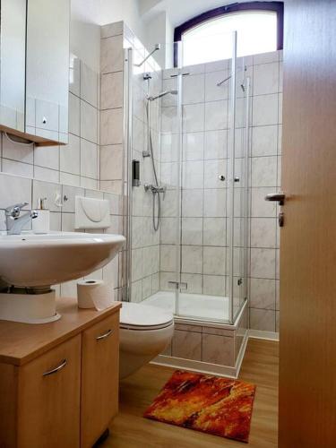 a bathroom with a shower and a toilet and a sink at Ferienwohnung WESTEND in Plauen