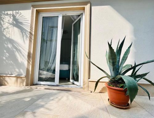 une plante en pot assise devant une porte dans l'établissement VILLA GIANNI - room VENEZIA - 4 stars, à Lovran
