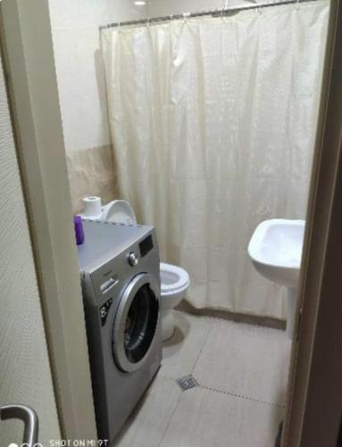 a bathroom with a washing machine next to a toilet at Didveli residenc in Bakuriani