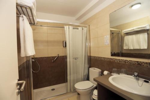 a bathroom with a shower and a toilet and a sink at Hotel-Apartamentos Andorra in Playa de las Americas