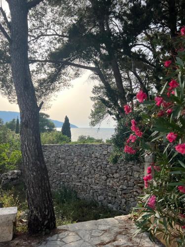 a stone wall with a tree and pink flowers at Villa Pinus in Stari Grad