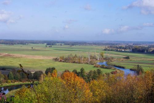 vista su un campo con fiume e alberi di The hills at river a Czarnków