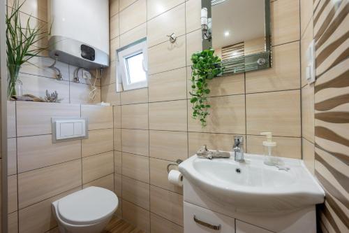 a bathroom with a sink and a toilet at Białe Żagle - domki nad morzem in Kopań