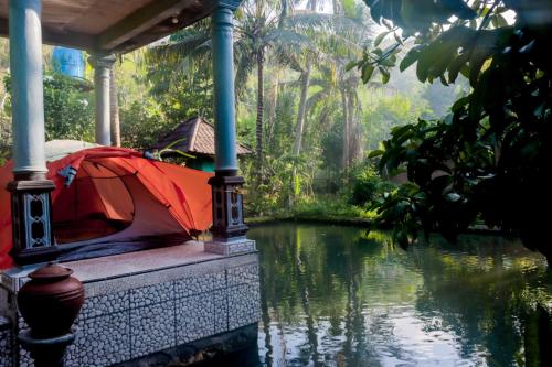 a tent sitting on the side of a body of water at Gecko Tropical inn in Gerung