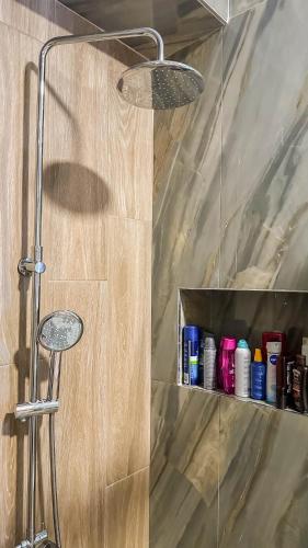 a shower in a bathroom with a glass wall at Mythic Meteora in Kalabaka