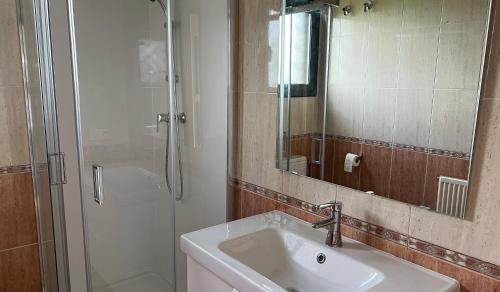 a bathroom with a sink and a shower with a mirror at Pinea in Vilacolum