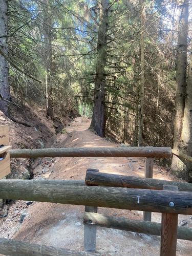 a wooden bench on a trail in the woods at Le Preyet in Veysonnaz
