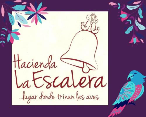 a invitation to a wedding with a blue bird and a tiara at Ex Hacienda Hostal in Guanajuato