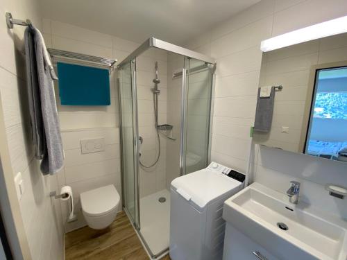 a bathroom with a shower and a toilet and a sink at Aux Grands-Vergers in Bruson